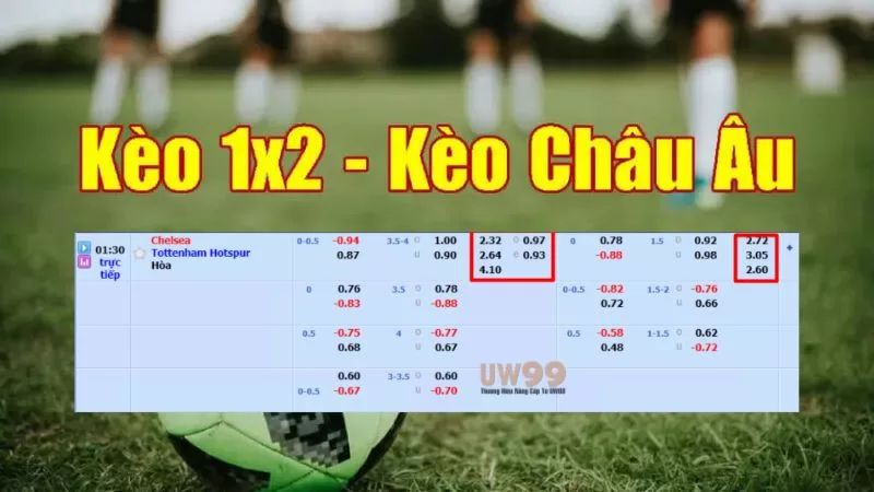 Đọc kèo chấp châu Á tại UW99